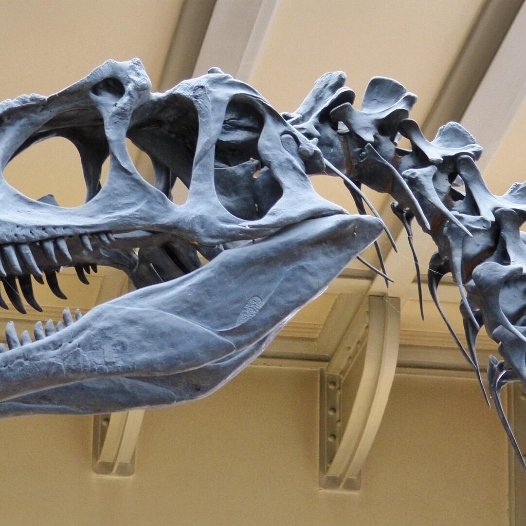 7854-museum-367730_1920